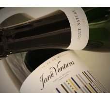 Reserva Cava from Jané Ventura. Superior quality for the price